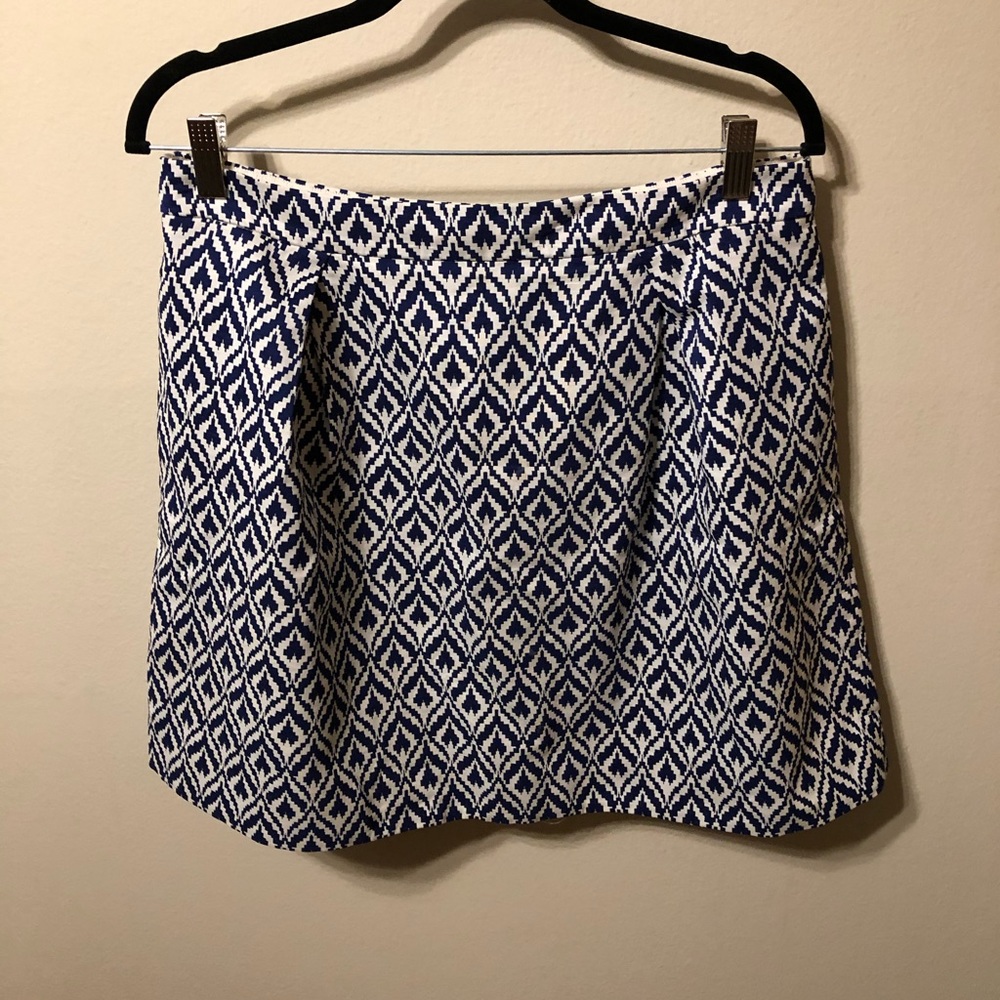 J.Crew Skirt